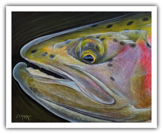 Ripple Effect-Native Rainbow