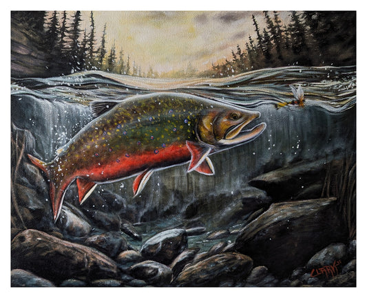 A brook trout's chase