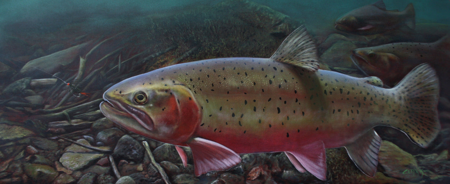 Resident of the rockes