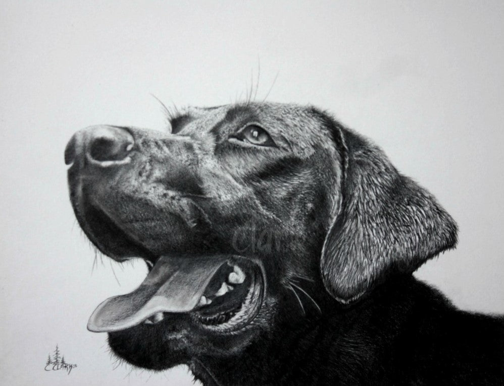 The Brother | Black Lab