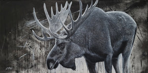 Sidetracked-Canadian bull Moose (Still Available)
