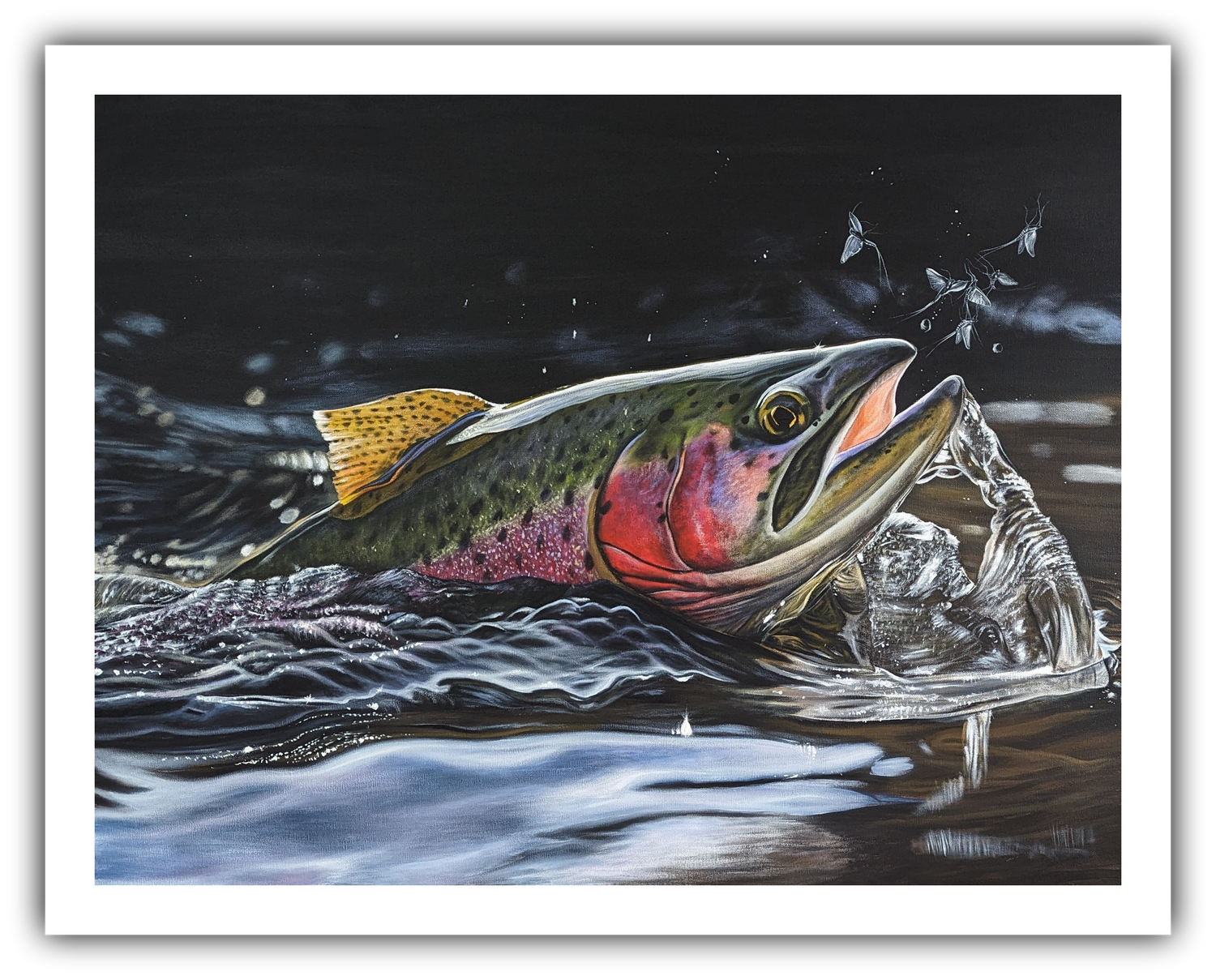 FINE ART PRINTS