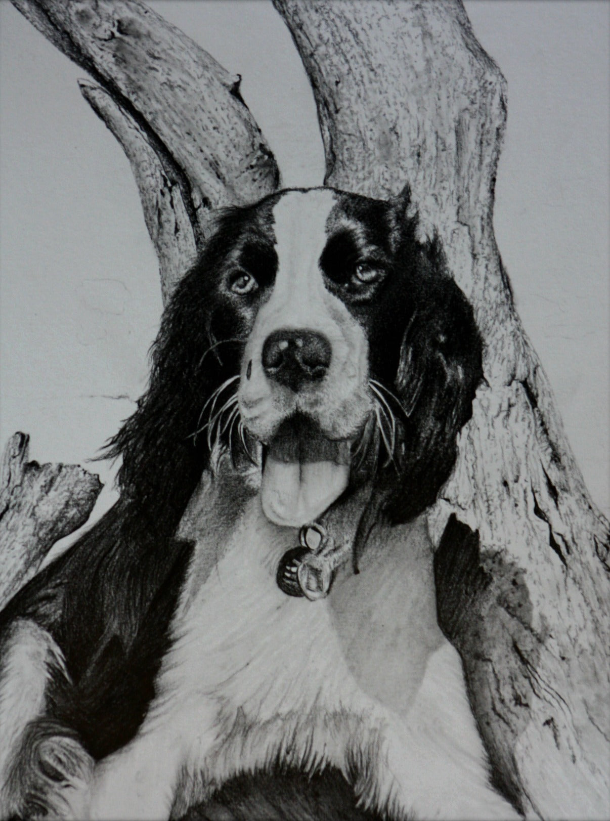 Chill time | Spaniel