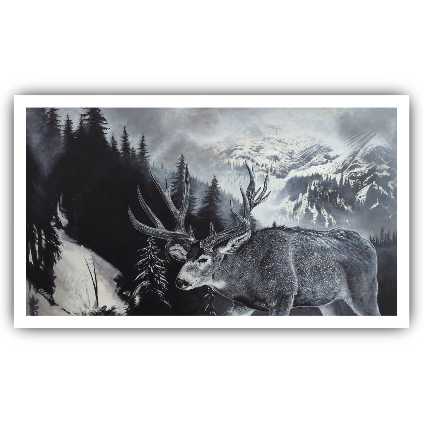 Silence of The Mountain