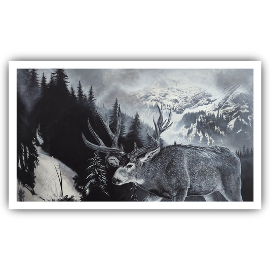 Silence of The Mountain