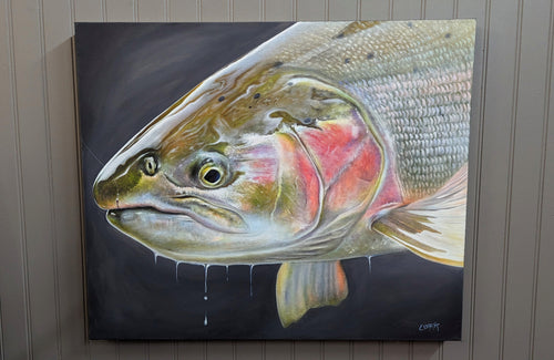 Rainbow Trout & Chironomid (18x24) Original Acrylic painting