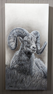 Living On The Edge-Bighorn Ram (Still Available)