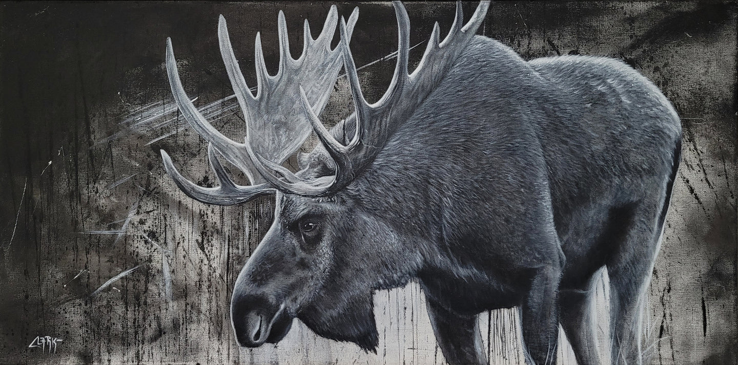 Sidetracked bull Moose (15x30) Original Acrylic Painting