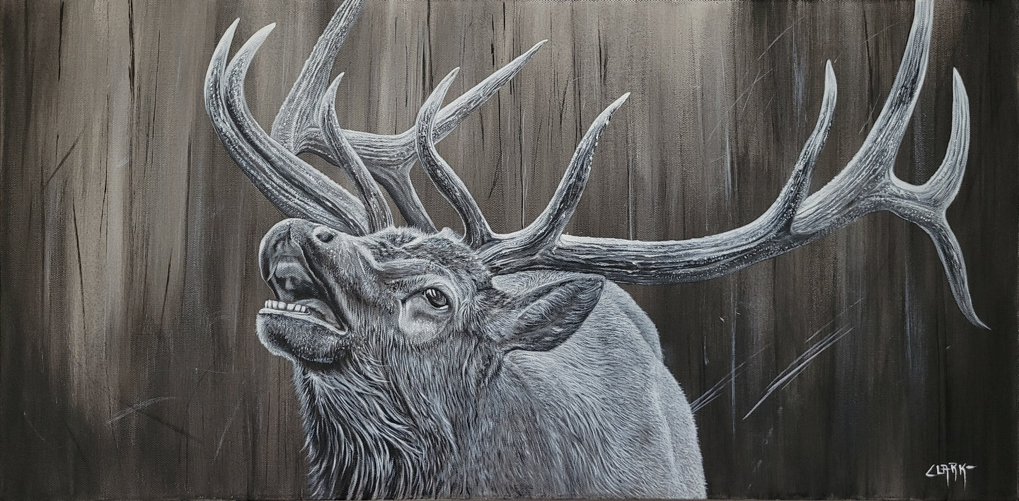 Mountain Music Bull Elk (15x30) Original Acrylic Painting