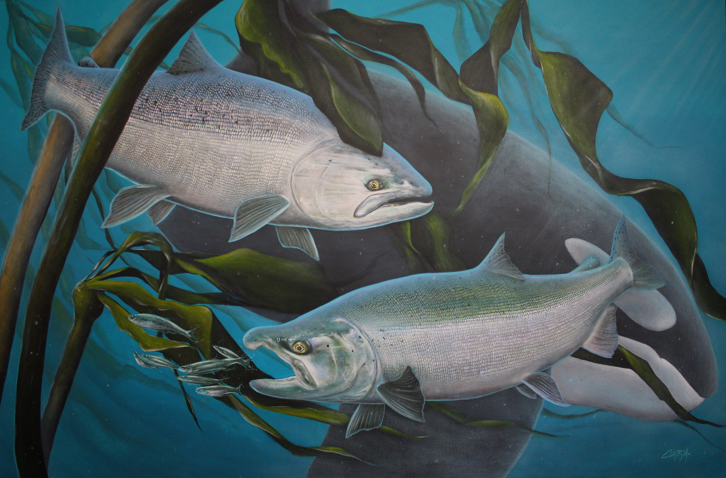 Tides & Tails Orca & Pacific Salmon (60x40) Original Acrylic Painting